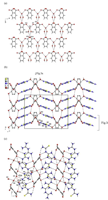 Fig. 3. The anionic 2D-layer of hydrogen bonded by water molecules of phthalate(2-) anions viewed along c-axis, symmetry codes (i) ex, y, 0.5-z; (ii) 0.5 þ x, 0.5 þ y, 0.5 þ z; (iii) 0.5 x, 0.5 þ y, z (a), 3D hydrogen bonded supramolecular network of bis(1