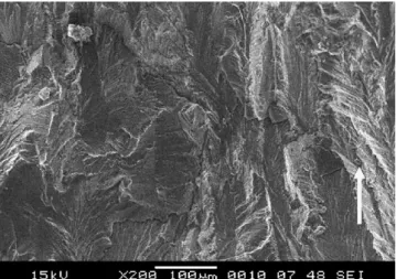 Fig. 14. SEM micrograph of the fracture surface at the near-threshold level, 7475-T7351, R = 0.1, 5% pre-strain, 200 × 