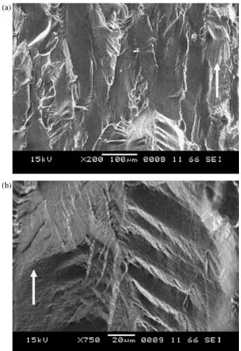Fig. 12. SEM micrographs of the fracture surfaces in the linear FCGR region, 7475-T7351, R = 0.1, 0% pre-strain, (a) 400 × , and (b) 2000 × 