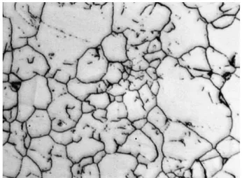 Fig. 1 reveals the microstructure of the alloy with heter- heter-ogeneous grains. The average grain size was determined as 14 lm with a standard deviation of 9 lm.