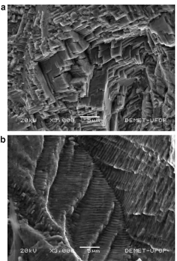 Fig. 3. SEM fractography of fatigue surface of the Inconel alloy 600, 3000 · . (a) At the near-threshold region, and (b) at higher crack growth rate.