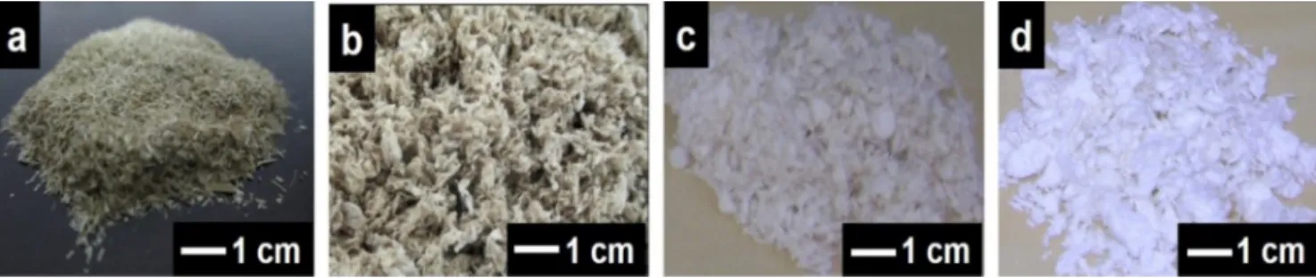 Fig. 1. Visual appearance: (a) ground bamboo native fiber; (b) refined pulp without bleaching; (c) refined pulp bleached for one time (1×); and (d) refined pulp bleached for two times (2×).