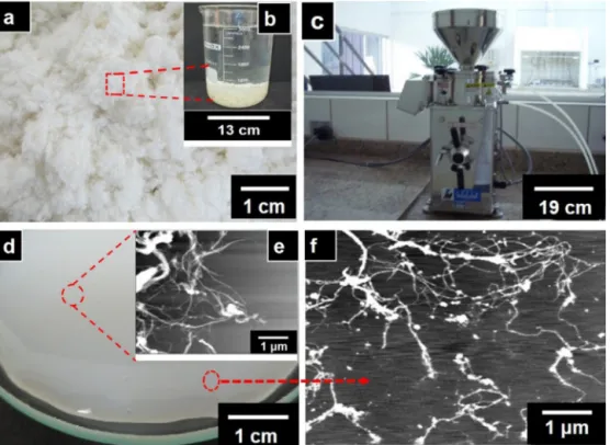 Fig. 2. Stages of production of bamboo nanofibrils: (a) refined and twice bleached bamboo pulp (Guimarães Junior et al., 2015); (b) aqueous solution of the same bamboo pulp; (c) Super Masscolloider Masuko Sangyo MKCA6-3 defibrillator; (d) visual appearance