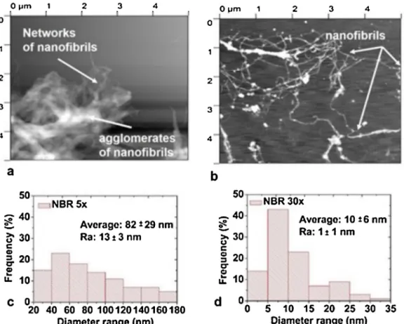 Fig. 6. Typical atomic force microscopy (AFM) images (topography) of the bamboo nanofibrils: (a) 5 passages (Guimarães Junior et al., 2015); and (b) 30 passages through the defibrillator