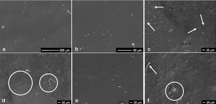 Fig. 9. Typical scanning electron microscopy (SEM) micrographs of: (a) and (b) control blends (P80/A20–80% of PVA and 20% of starch) with magnification of 300× and 1000×, respectively; and nanocomposites reinforced with different contents of bamboo nanofib