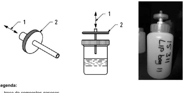 Figura  6.3  –  Esquema  do  recipiente  esterilizado  (frasco  de  prova/teste).  A  troca  de  compostos  gasosos  é  possível através de um filtro de membrana; exemplo dos recipientes de teste utilizados nos ensaios de validação  na CVO