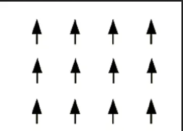 Figura 3.3.2- Representação do ordenamento magnético de materiais ferromagnéticos  (SANTANA, 2011) 