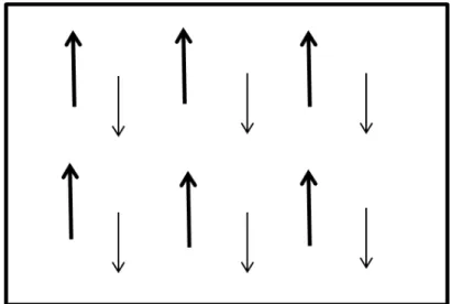 Figura 3.3.4- Representação do ordenamento ferrimagnético  3.3.1  –  Curva de magnetização  