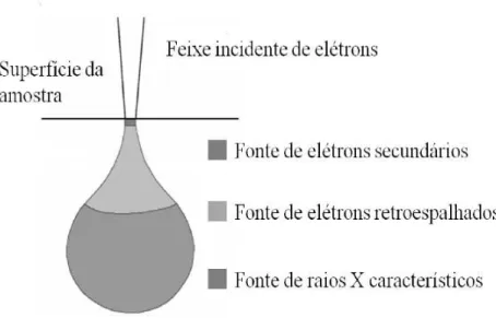 Figura 3.8 - Interação entre feixe de elétrons e a superfície da amostra e seus respectivos  efeitos devido esta interação (ALMEIDA, 2013) 