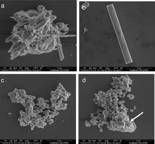 Figura 5: Microscopia eletrônica de varredura da amostra sintetizada no reator MW a 150ºC  por a) 10min – Mn10 e b) 120min – Mn120, e no reator Parr a 110ºC por c) 24horas – Mn110 e d) 