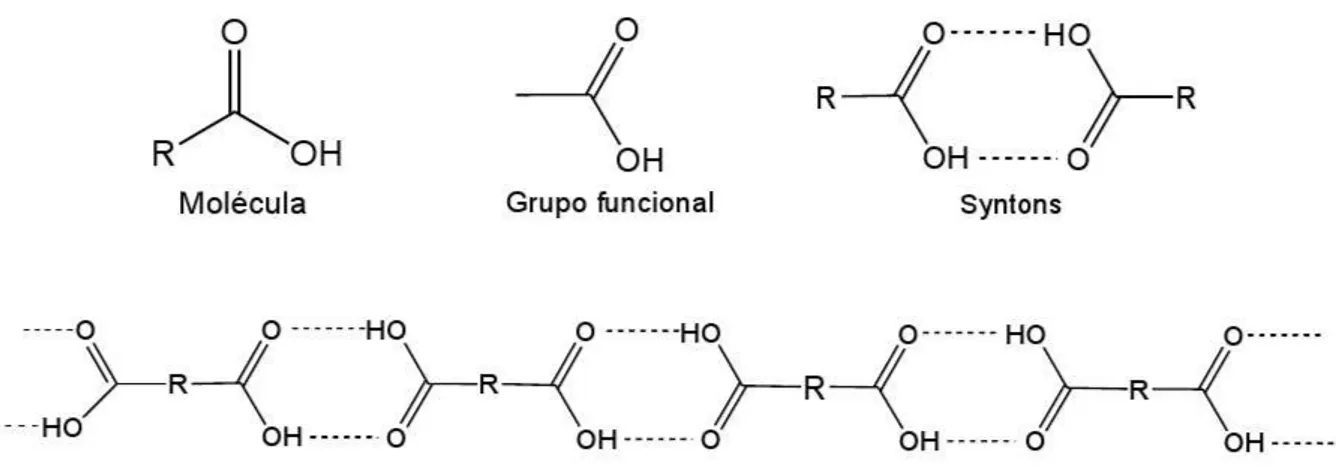 Figura 1.1: Relação entre uma molécula, grupos funcionais e synthons supramoleculares, adap- adap-tado de Desiraju[1]