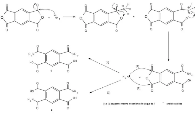 Figura 4.2: Proposta de mecanismo de reação de amônia com o PMDA