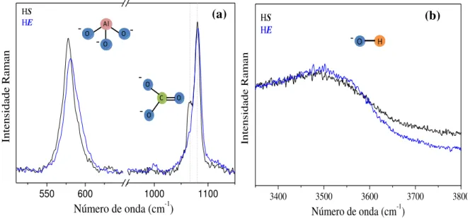 Figura 9. Espectros Raman para os HDLs produzidos HS (─) e HE (─) com a inserção das moléculas referentes  aos estiramentos identificados