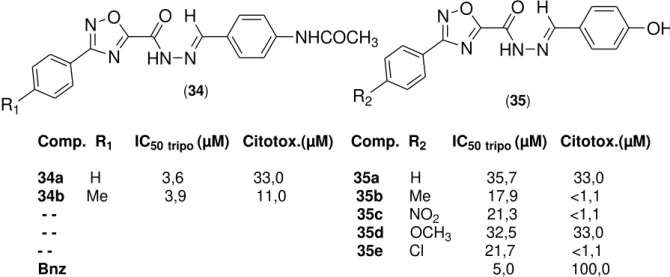 Figura 7 - Resultados de IC 50  e citotoxicidade da aplicação das moléculas 1,2,4-oxadiazóis na  atividade anti T
