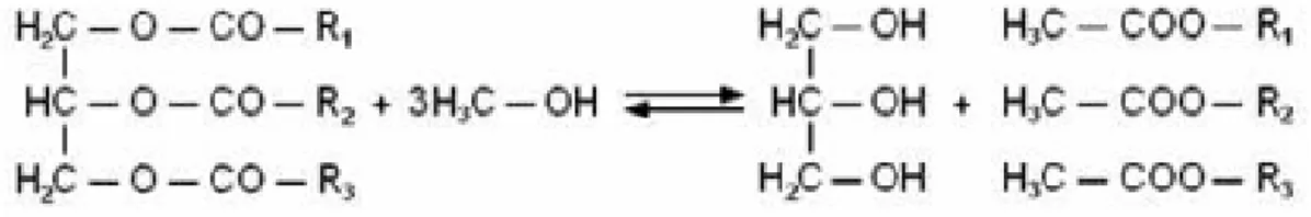 Figura 2.1: Transesterificação de triacilglicerídeos 
