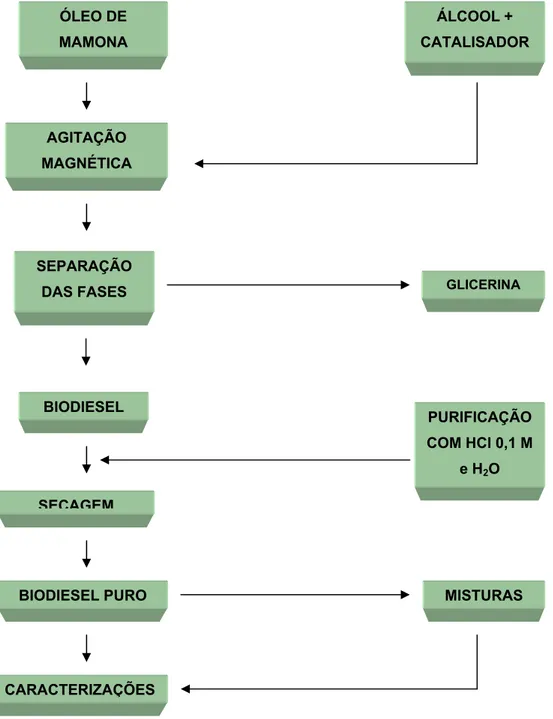 Figura 3.1: Fluxograma da produção do biodiesel ÓLEO DE MAMONA ÁLCOOL +  CATALISADOR AGITAÇÃO MAGNÉTICA SEPARAÇÃO 
