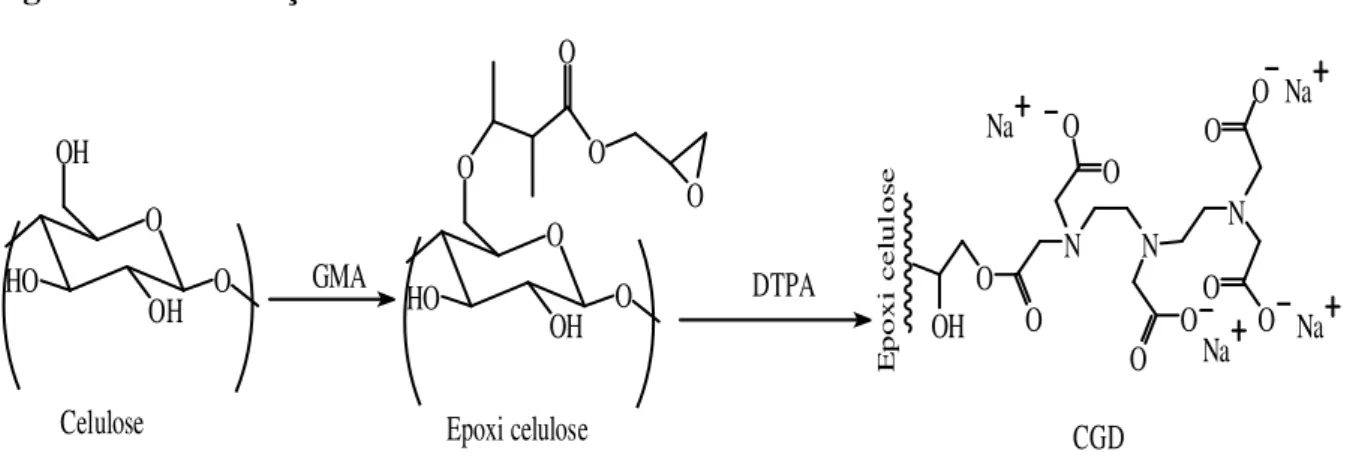 Figura 2.23- Produção do adsorvente CGD  O HO OH OOO OOOHOOHOOHGMA DTPA O NO O N O O NO OOOOHO