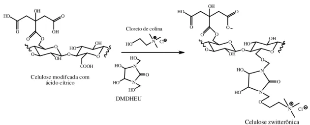 Figura 2.39 - Funcionalização da celulose com ácido cítrico cloreto de colina  