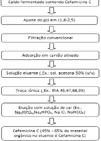 Figura 2.7 -  Purificação da cefamicina C: processo com carvão ativado e troca iônica.