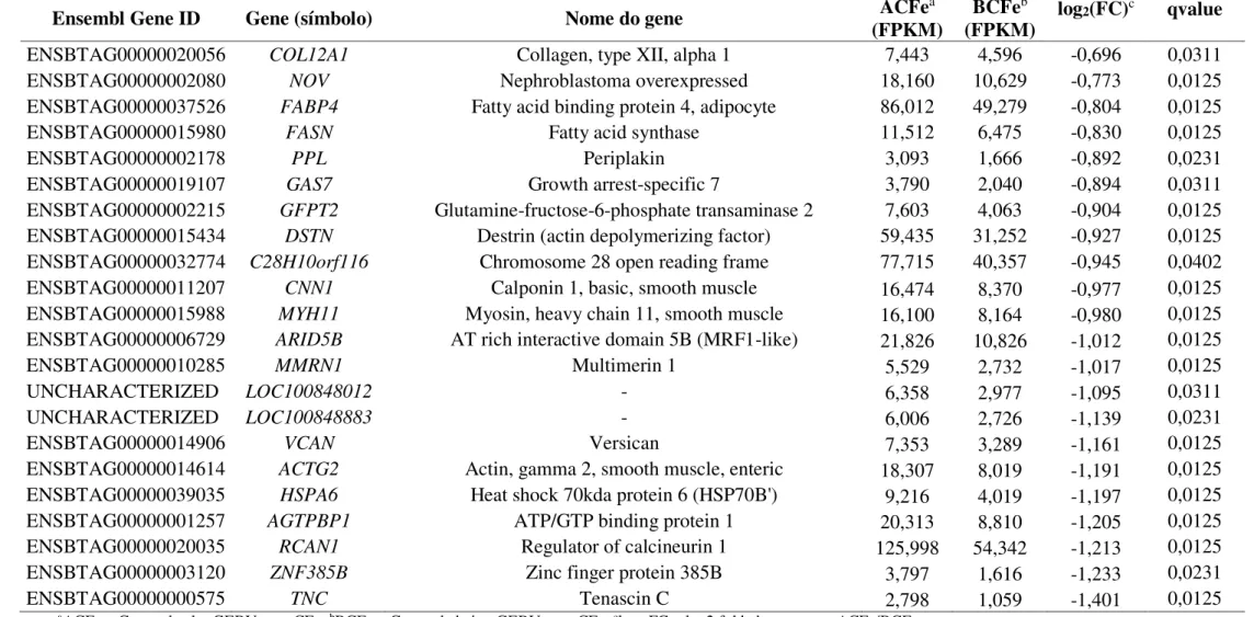 Tabela  4  –  Genes  identificados  como  significativamente  down-regulated  no  músculo  L