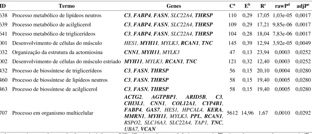 Tabela 5 –  Processos biológicos significativamente enriquecidos pelo WebGestalt para os genes diferencialmente expressos no músculo  L