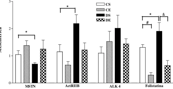 Figura  10:  Expressão  do  RNAm da MSTN, ActRIIB, ALK 4 e FS  na gordura mesentérica de ratos