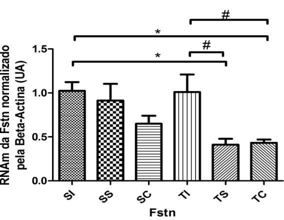 Figura 11: Expressão do RNAm da Folistatina (Fstn). P &lt; 0,05, * TS vs SI e TC vs SI  e # TS vs TI, e TC vs TI