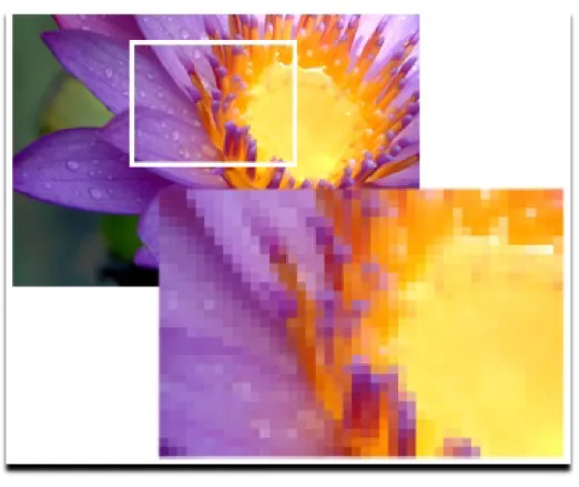 Figura 1 – Pixel – Imagem com destaque. 