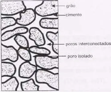 Figura 2 – Seção transversal de uma amostra de rocha (Rosa et al.,2006).
