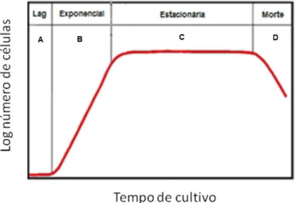 Figura  1  -  Padrão  de  curva  de  crescimento  para  células  animais  em  cultura