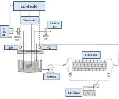 Figura 12 -  Ilustração geral do funcionamento do biorreator de fibra oca. 