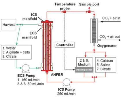 Figura 17 -  Ilustração do biorreator de fibra oca utilizado no experimento. 