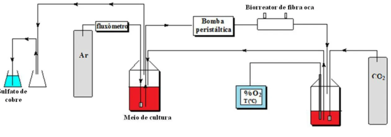 Figura 26  –  Sistema montado para cultivo de hMSC-TERT com microcarregador Pronectin ®  F no biorreator de  fibra oca