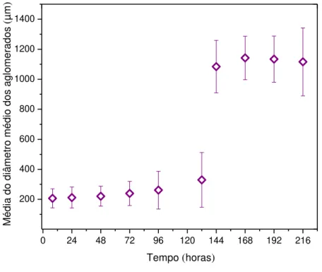 Figura  16  –   Resultado  das  médias  aritmética  dos  diâmetros  médio  dos  aglomerados  de  microcarregadores Cultispher-S obtidos durante o experimento 1