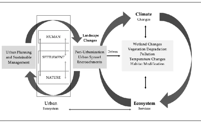 Figure 1.1. Interaction amongst humans, climate and environmental systems in urban  landscape 