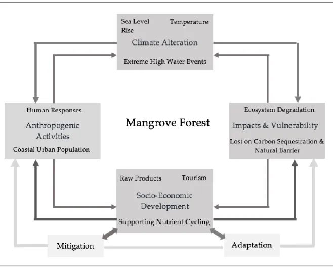 Figure 1.3. Interaction amongst forest changes and environmental systems in coastal  landscape