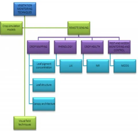 Figure 2 summarizes the three main techniques used on vegetation monitoring, especially based on remote sensing possibilities.