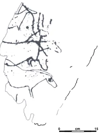 Fig.  8  -Scene  d'accouplement  entre  un étalon  et une  jumento Roche 4 de  Penascosa.