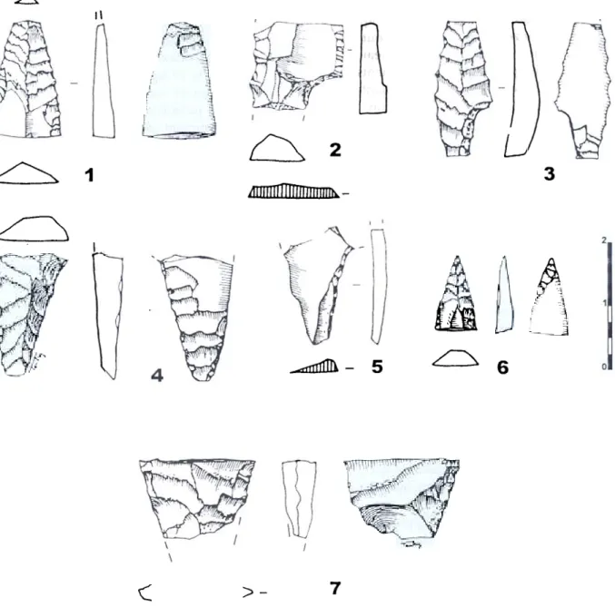 Fig.  9  -Pointes  solutréennes  trouvées  dans  les sites  d'habitat  de  Ia vallée  du  Côa