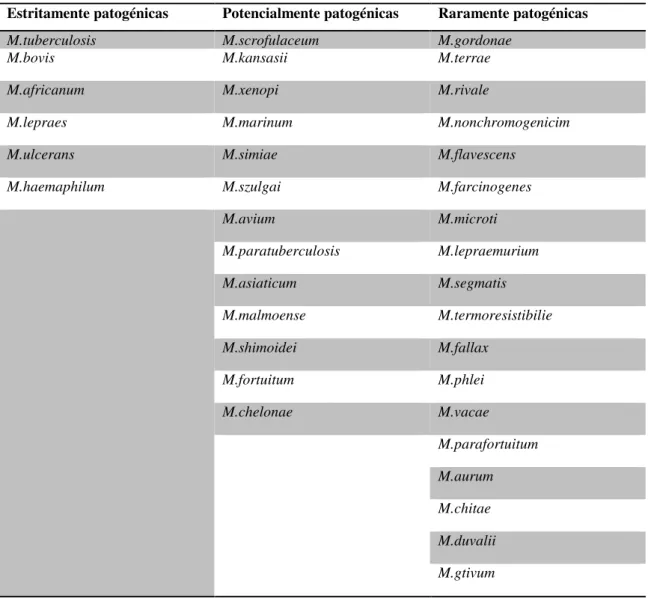 Tabela  1  –  Classificação  das  espécies  micobacterianas  quanto  à  sua  patogenicidade  para  o  Homem  (Adaptado de Ferreira e Sousa, 2000) 
