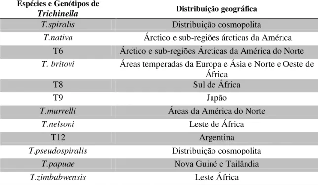 Tabela  3.  Distribuição  Geográfica  característica  de  Trichinella  spp.  (adaptado  de  Gajadhar et al., 2009 e Gottstein et al., 2009)