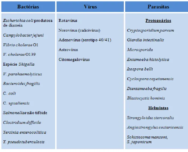Tabela 2 - Enumeração geral de agentes causais de diarreia. Adaptado (World Gastroenterology Organization, 2012)