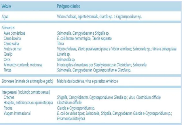 Tabela 4 - Veículo de contaminação e agente patogénico associado. Adaptado (Moraes &amp; Castro, 2014)