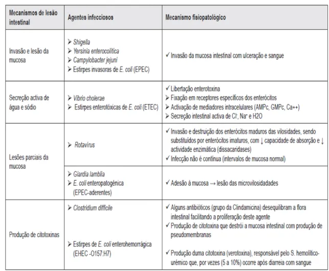 Tabela 5 - Mecanismos fisiopatológicos. Adaptado (Lima &amp; Dias, 2010).