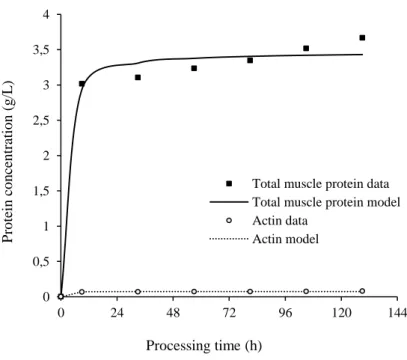 Figure 3.8 Experimental and model dataset for muscle proteins released according to a pseudo- pseudo-second order kinetics 