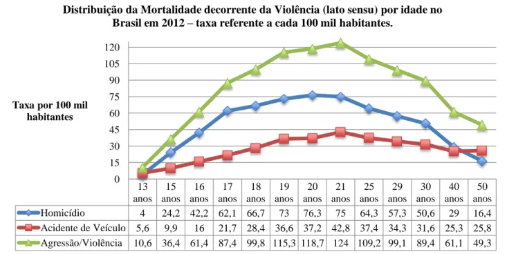Gráfico 3.1: Distribuição da mortalidade decorrente da violência (lato sensu) por idade no Brasil (2012)  – por 100 mil habitantes