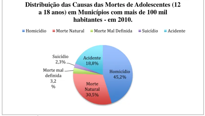 Figura 3.1: Distribuição das causas das mortes de adolescentes em municípios com mais de  100 mil habitantes durante 2010