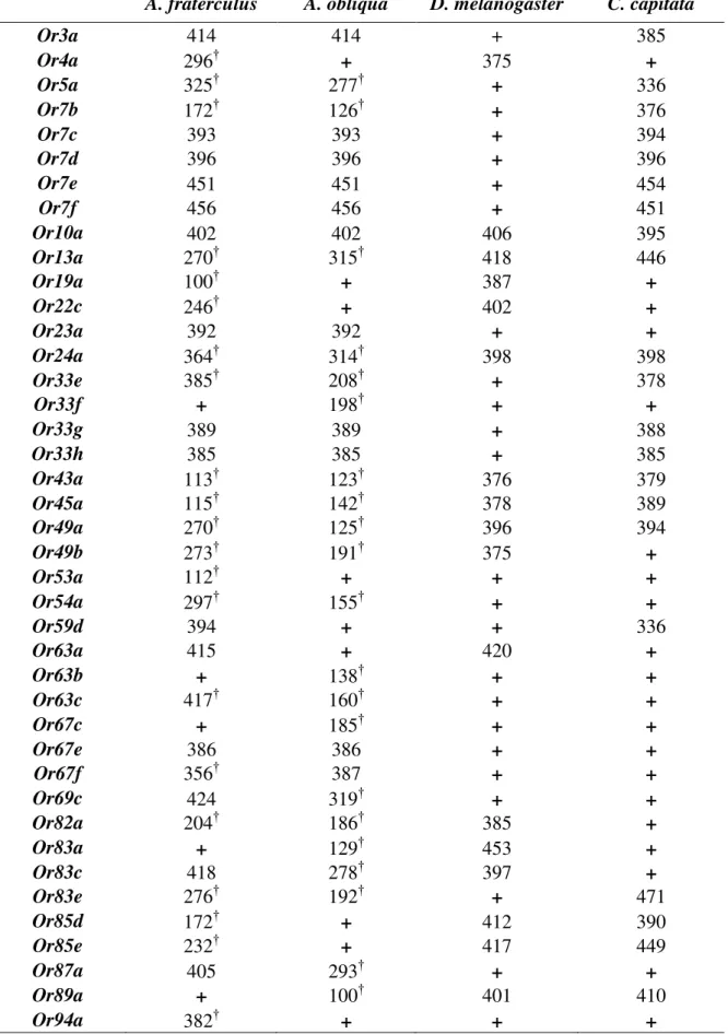 Table  1.  Fragment  lengths  in  amino  acids  of  ORs  genes  found  in  A.  fraterculus  and  A