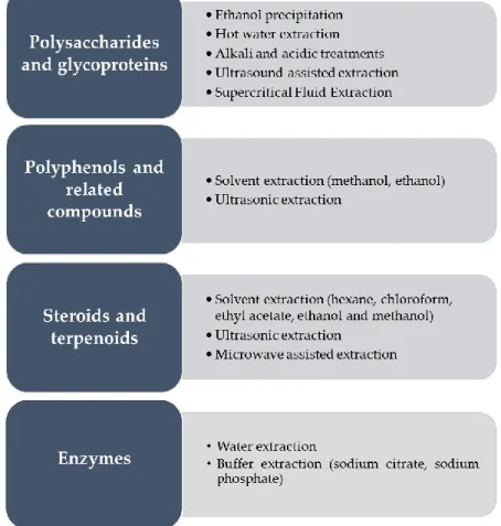 Figure 3. Main bioactive compounds in mushroom by-products and extraction methods involved in  the extraction of bioactive compounds from mushroom by-products