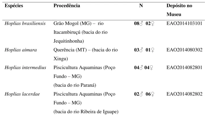 Tabela 3. Locais de procedência das espécies de Hoplias, com os respectivos tamanhos  amostrais e códigos de identificação do museu